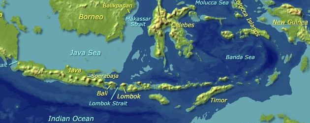 Curious-world-maps